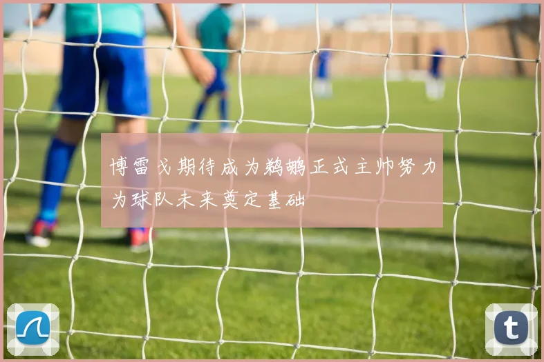 博雷戈期待成为鹈鹕正式主帅努力为球队未来奠定基础